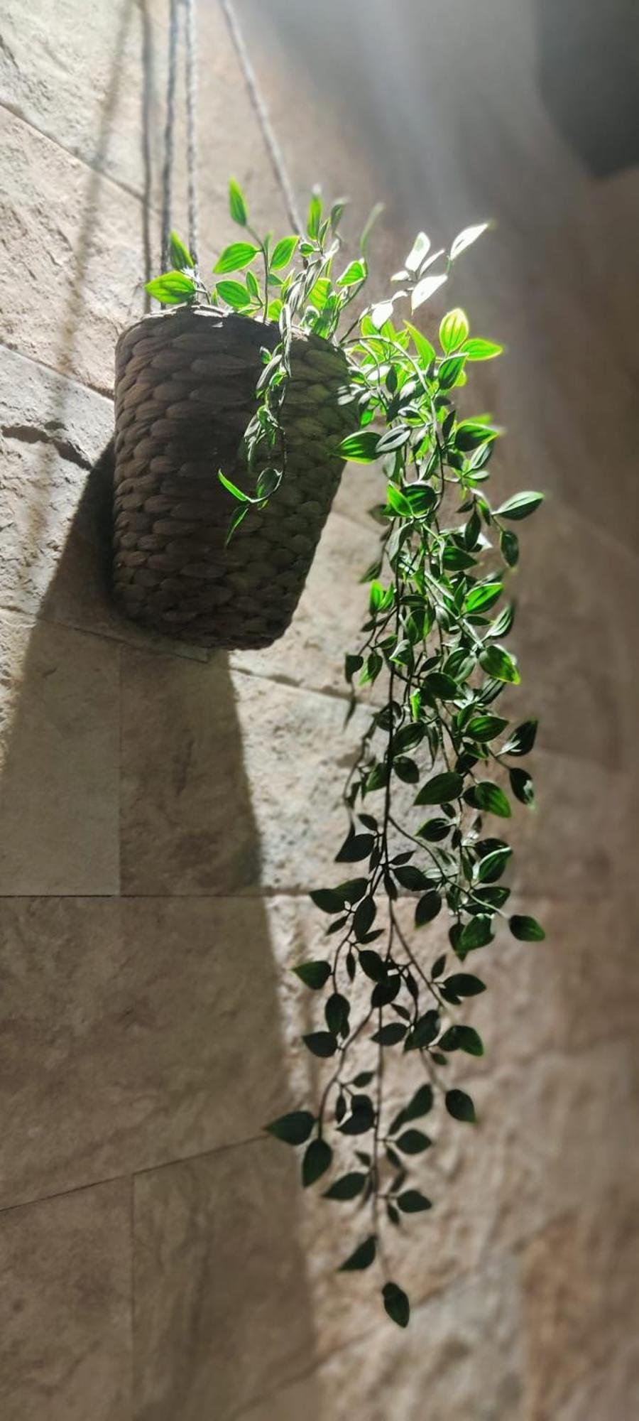 Dimora Al Saraceno 호텔 페라라 외부 사진
